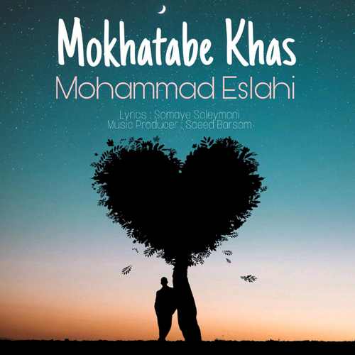 دانلود آهنگ جدید محمد اصلاحی به نام مخاطب خاص
